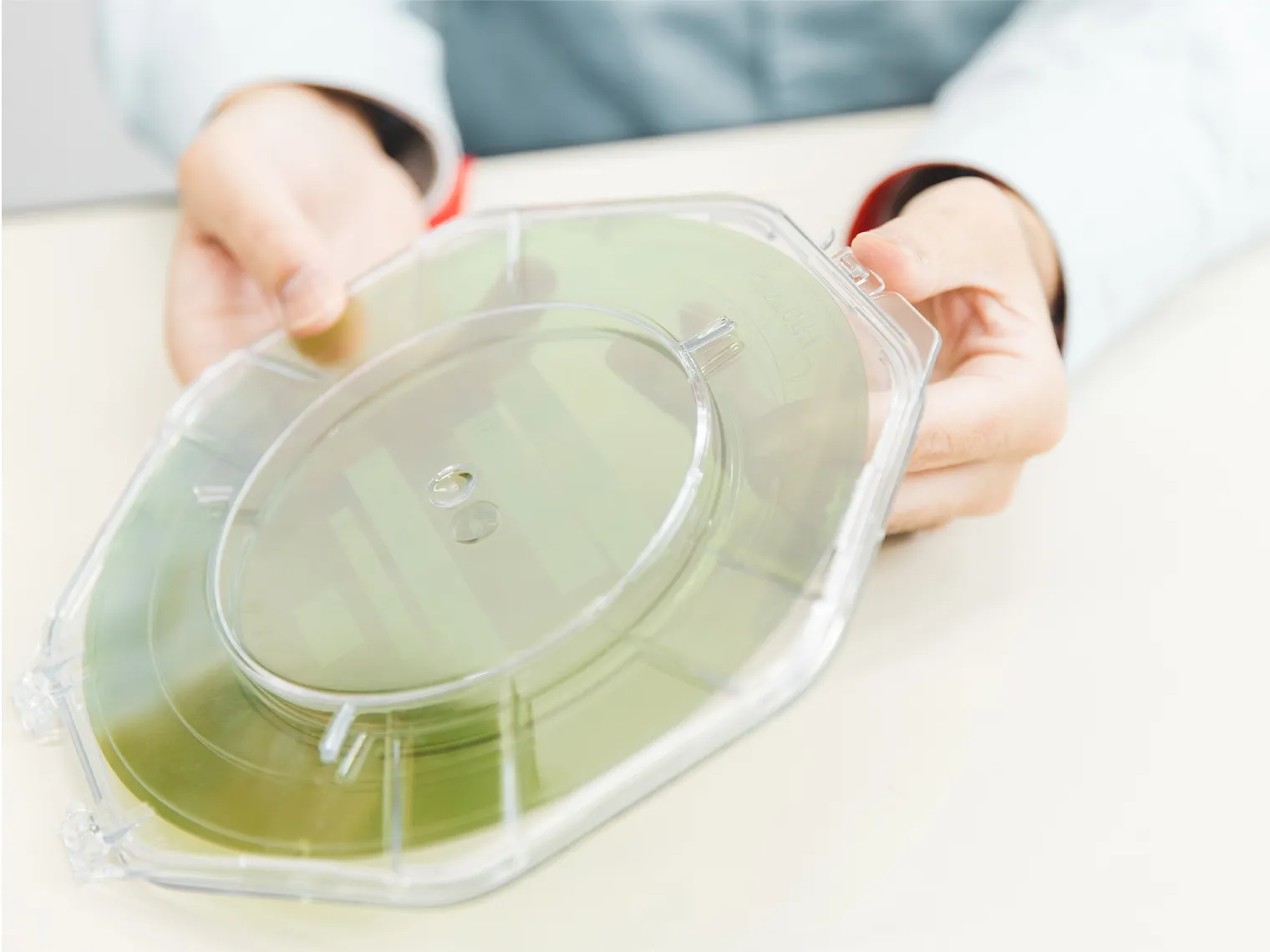 SiCウエハを手に持って確認する様子