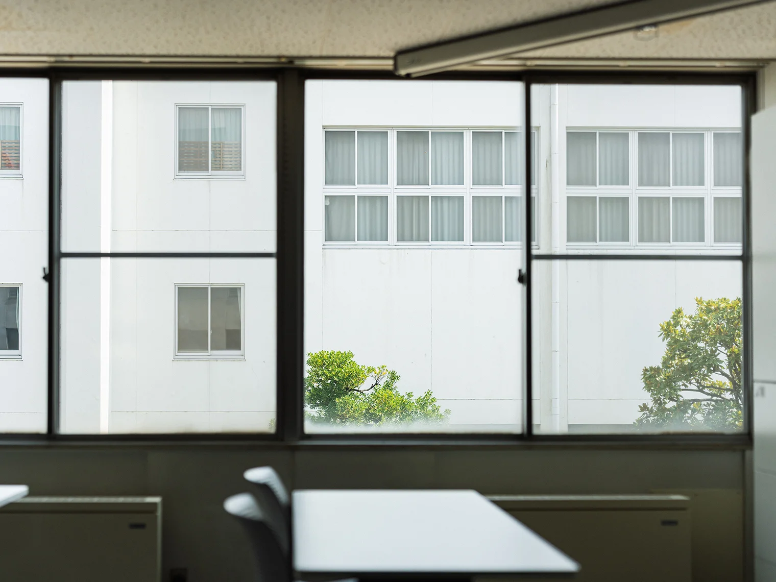 窓から見える建物と緑の木々