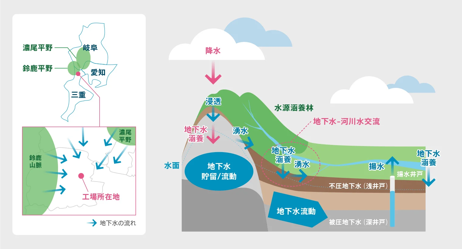トリムの立地環境と地下水の流れ