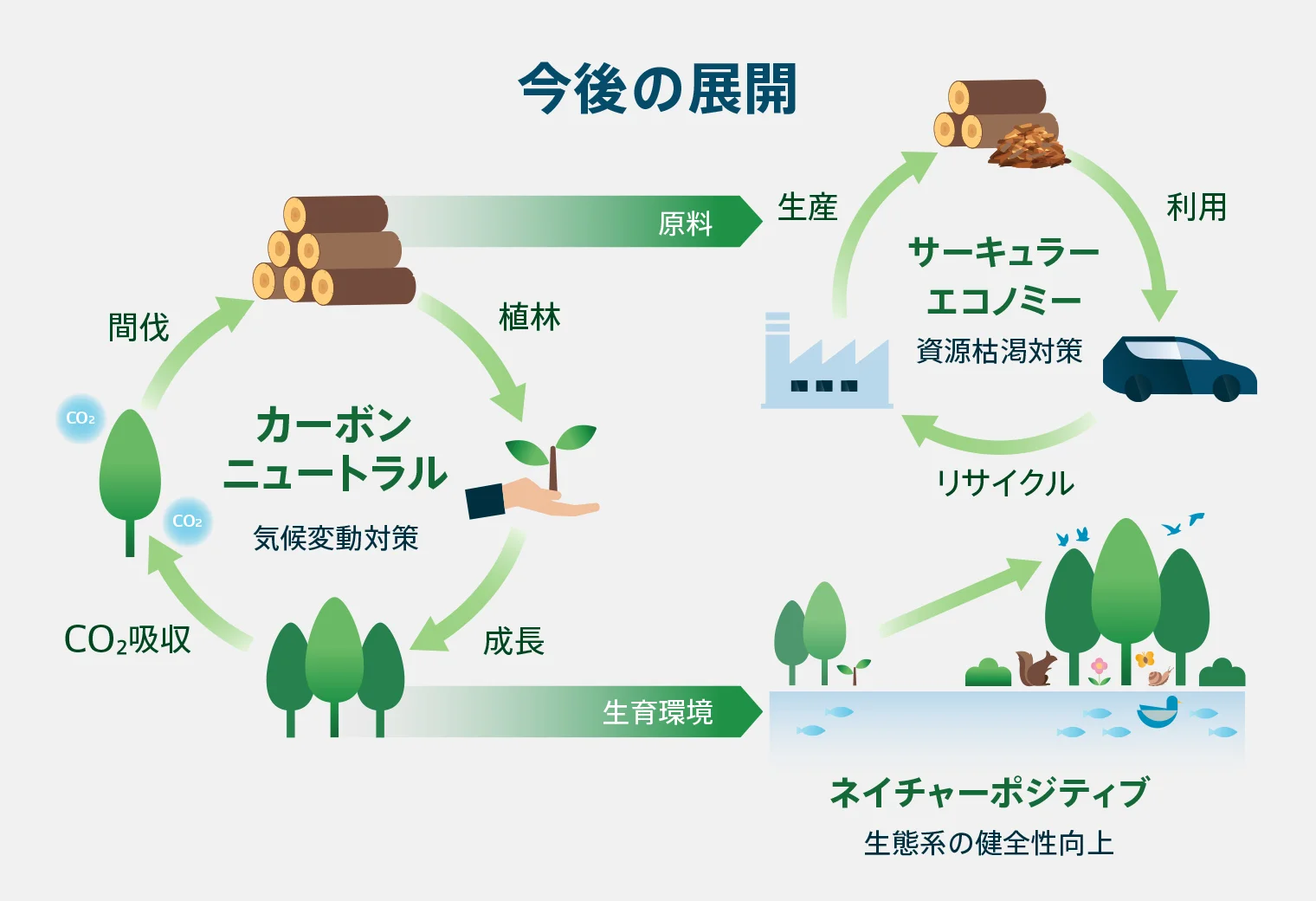 森林事業の今後の展開候補