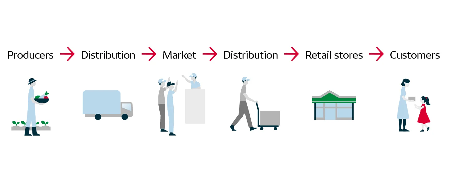 Example of product distribution flow, from producer to consumer