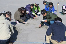 デンソーグループハートフルデー2016豊橋　「ウミガメのふる里を守ろう！」の様子