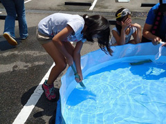 写真は、シリンダーに水を入れている様子