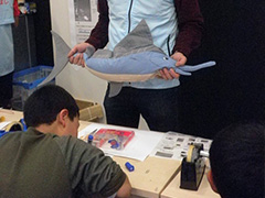 写真は、男の子がチョウザメの絵を描いている様子