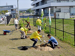 写真は、二人組になって掘った穴にもみじを植樹している様子
