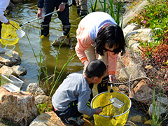 写真は、お母さんと子どもがタモを持って池の清掃をしている様子