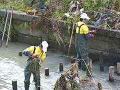 写真は、どうながを着た男性が、川に入り杭に引っかかったゴミを手やトビで拾い上げ、土手まで持ち上げている様子