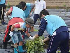 写真は、小学生低学年くらいの男の子が、苗を選んでいる様子