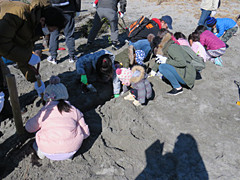 写真は、たいさがき用の穴を一生懸命掘っている子どもたちの様子