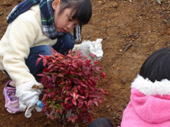 子どもたちも大活躍！写真は、一生懸命、木を植えている様子