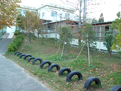 写真は、清掃活動前の校庭の様子。落ち葉や雑草が生い茂っています