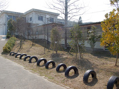 写真は、清掃活動後の校庭の様子。卒業生が通る渡り廊下付近は落ち葉もなくピカピカで～す！！