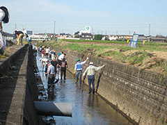 写真は、町内の人と一緒に川に入り、一緒に汗を流してきれいにする参加者の様子