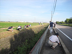 写真は、道路のゴミ拾いをする参加者の様子