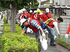 写真は、隠れたゴミも徹底的に拾う参加者の様子