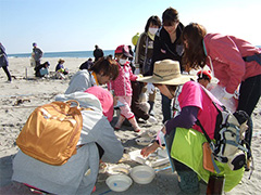 写真は、小さなゴミを拾い、種類ごとに数え、カウントしている参加者の様子