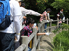 写真は、自然と触れ合う参加者の皆さんの様子
