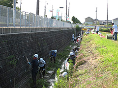 写真は、今年から新しく実施した場所。川の中や護岸もきれいに清掃する参加者の様子