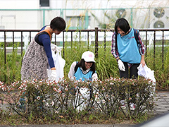 写真は、歩道の植え込みのなかのゴミを拾う様子