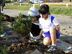 写真は、お母さんと一緒に苗を植えている様子