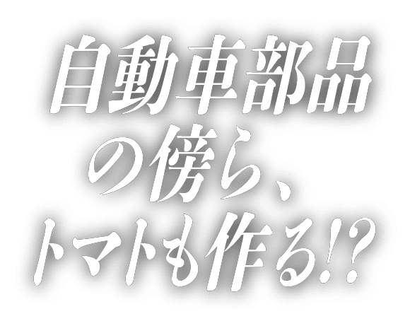 自動車部品の傍ら、トマトも作る!?