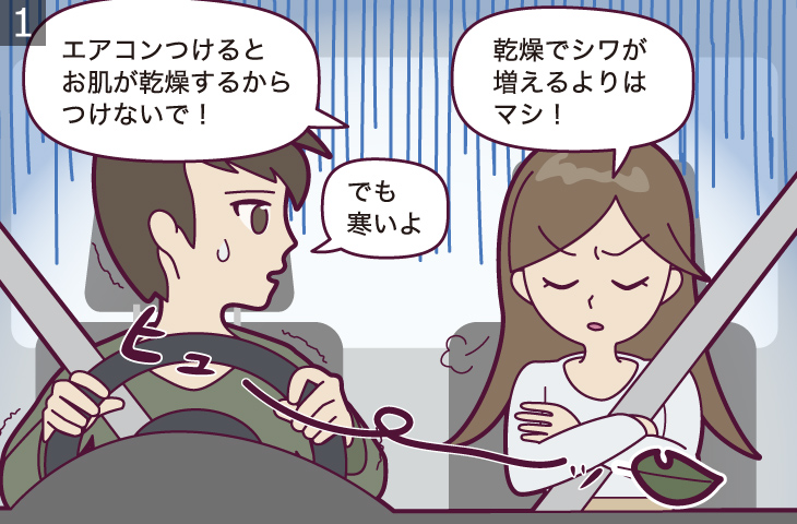 クリーンエアフィルタープレミアム: ビタミンC放出 | 製品情報 | クリーンエアフィルター | デンソー