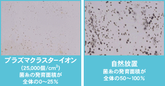 付着カビ菌の増殖抑制