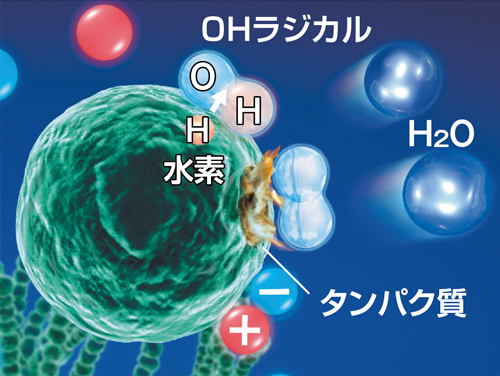 浮遊カビ菌分解・除去イメージ