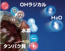 浮遊菌 作用抑制イメージ