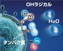浮遊ウィルス 作用抑制イメージ