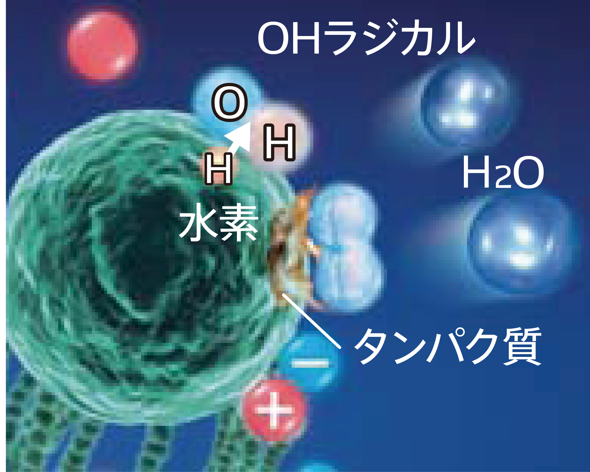 浮遊カビ菌作用抑制イメージ