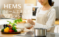 デンソーブランドNaviehe製品サイト