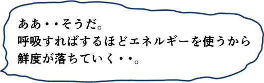 ああ・・そうだ。呼吸すればするほどエネルギーを使うから鮮度が落ちていく・・。