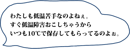 わたしも低温苦手なのよねぇ。すぐ低温障害おこしちゃうからいつも10℃で保存してもらってるのよぉ。