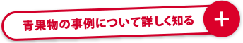 青果物の事例について詳しく知る