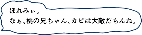 ほれみぃ。なぁ、桃の兄ちゃん、カビは大敵だもんね。