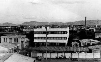 at-a-glance-img-1948