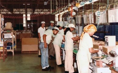 at-a-glance-img-1983-01