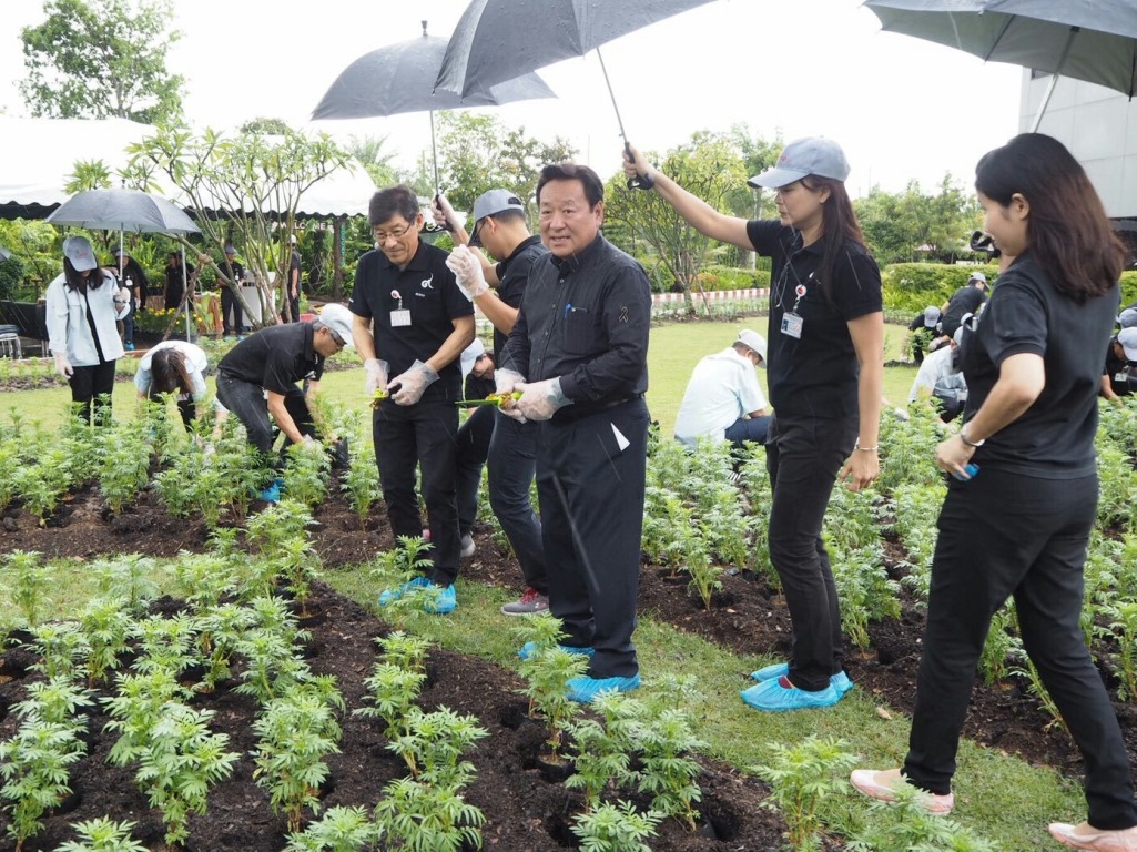 dnth-marigolds-1-resized