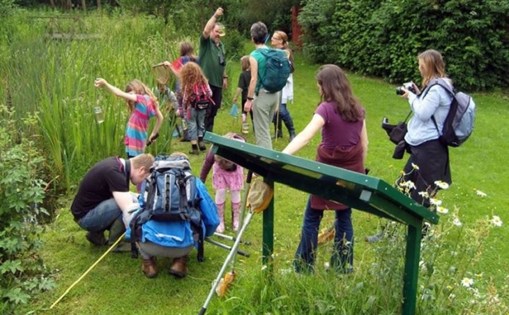 dnmn-img-environment