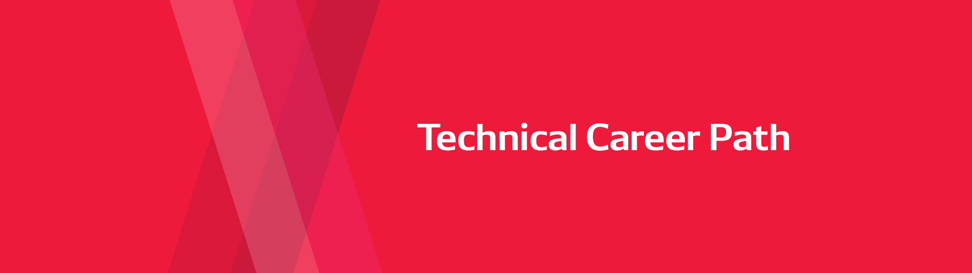 Technical Career Path