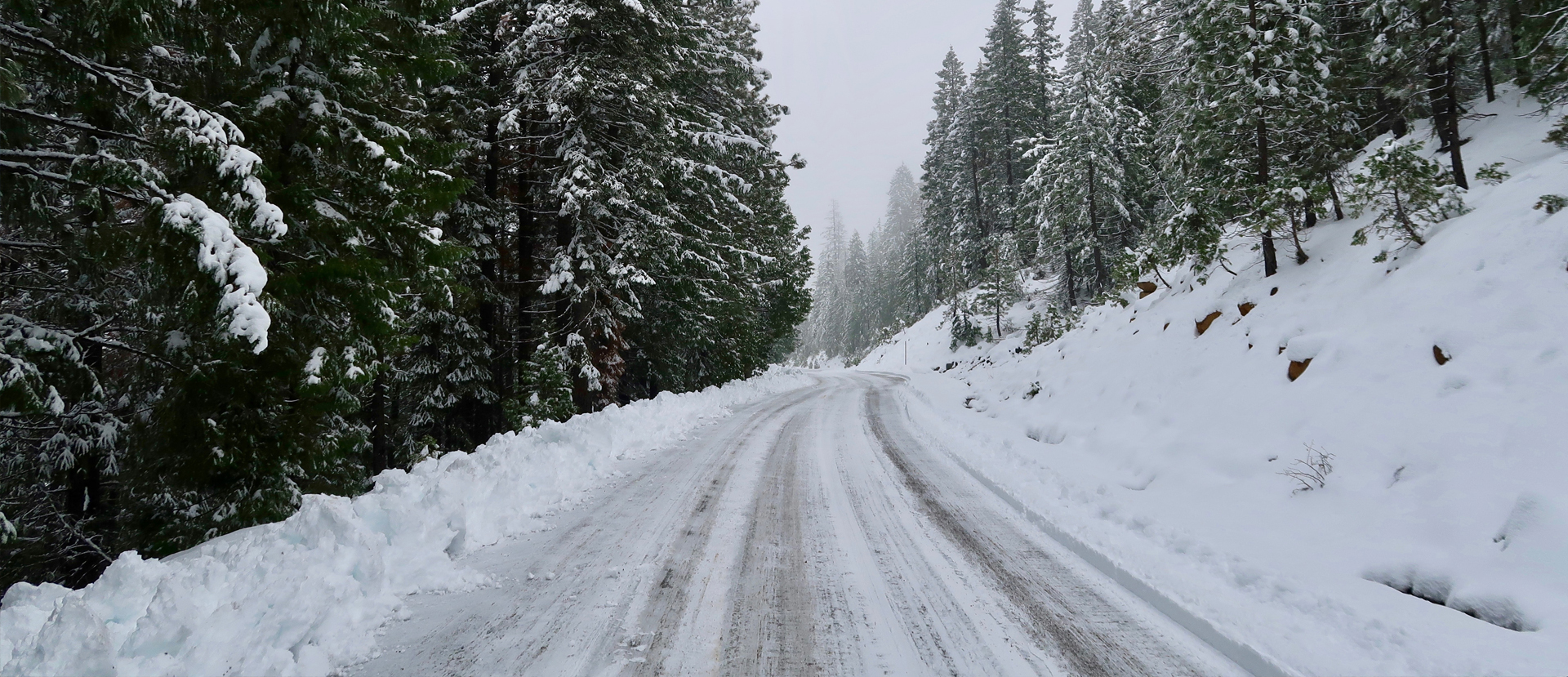 Life, Disability & FMLA