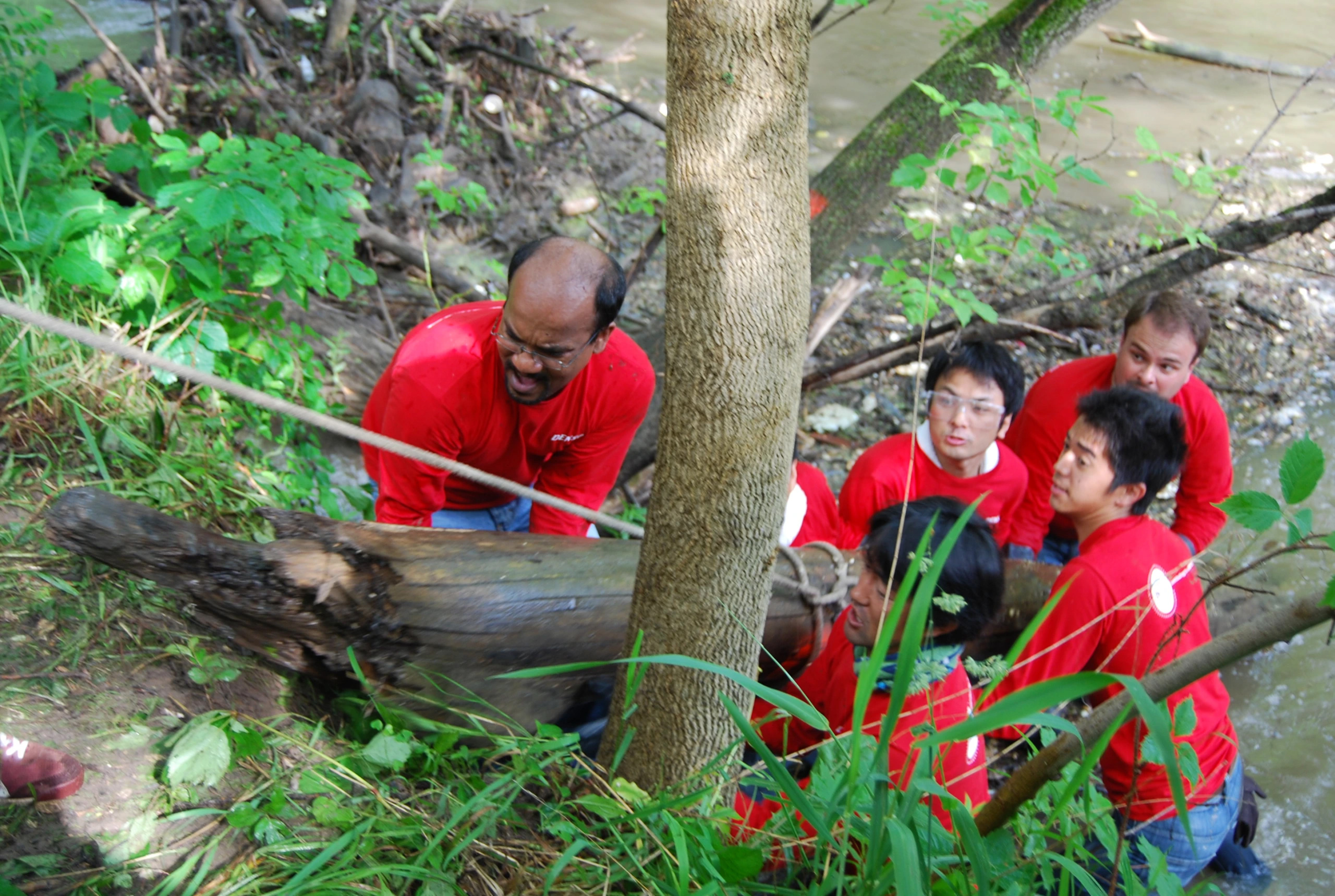 Volunteers lift a heavy tree