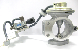 vietnam-oem-img-egrv